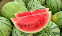 金喜吃瓜,揭秘娱乐圈幕后故事