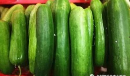 大瓜能煮熟吃吗,大瓜能否煮熟后成为美味佳肴？探究其烹饪可能性