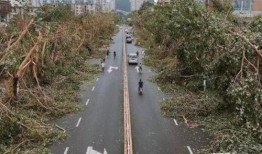 厦门台风吃瓜,厦门市民“吃瓜”见证风雨中的城市韧性