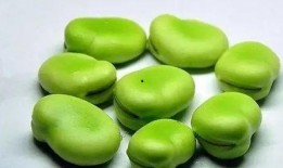 肾炎患者吃瓜吗,瓜类食物的适宜与禁忌