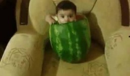 吃瓜老师幼儿园,趣味盎然的童年乐园