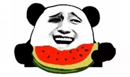 五组吃瓜日常,揭秘娱乐圈幕后风云