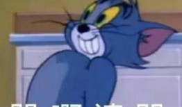 吃瓜吃不全的感觉是什么,吃瓜未尽的奇妙体验