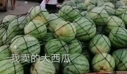 泉州海洋 吃瓜,吃瓜之旅，品味海味风情