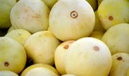 吃瓜弊端,过度关注背后的隐忧