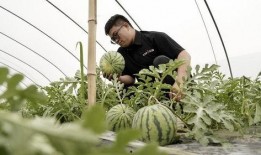 吃瓜模式拍照,揭秘娱乐圈幕后故事