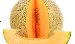 儿童天天吃哈密瓜好吗吗,营养与健康的双重益处