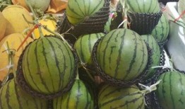 巢湖一中吃瓜视频,揭秘校园生活趣味瞬间