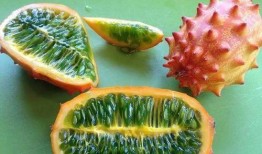 如何形容吃刺角瓜的感觉,舌尖上的独特之旅