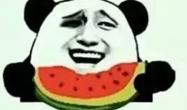 沙特吃瓜,吃瓜群众眼中的奢华生活揭秘