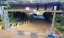 汕头吃瓜群,揭秘潮汕美食背后的故事与趣闻