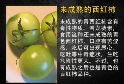 吃瓜风险,揭秘“吃瓜”背后的风险与真相