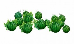 阿寺吃瓜,揭秘娱乐圈那些不为人知的幕后故事