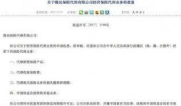 微信昵称吃瓜群众,网络时代的围观者与传播者