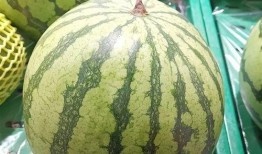 地域吃瓜,一网打尽各地风味