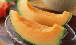 吃哈密瓜能不能吃虾子,美味搭配还是禁忌组合？