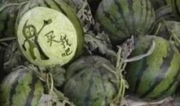 长垣吃瓜爆料视频,揭秘当地热点事件背后的真相