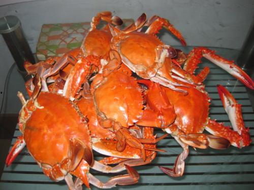 东营西城吃瓜,清凉一夏，品味地方特色