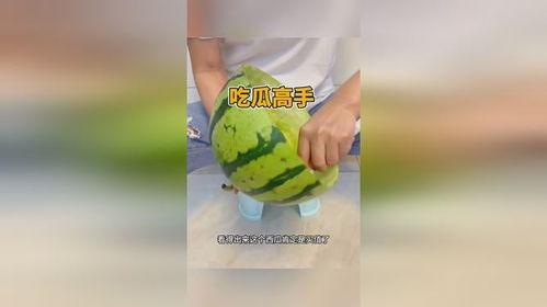 吃瓜高手小说免费阅读,揭秘娱乐圈背后的秘密