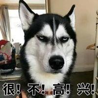 吃瓜和狗头表情,网络时代的趣味解读